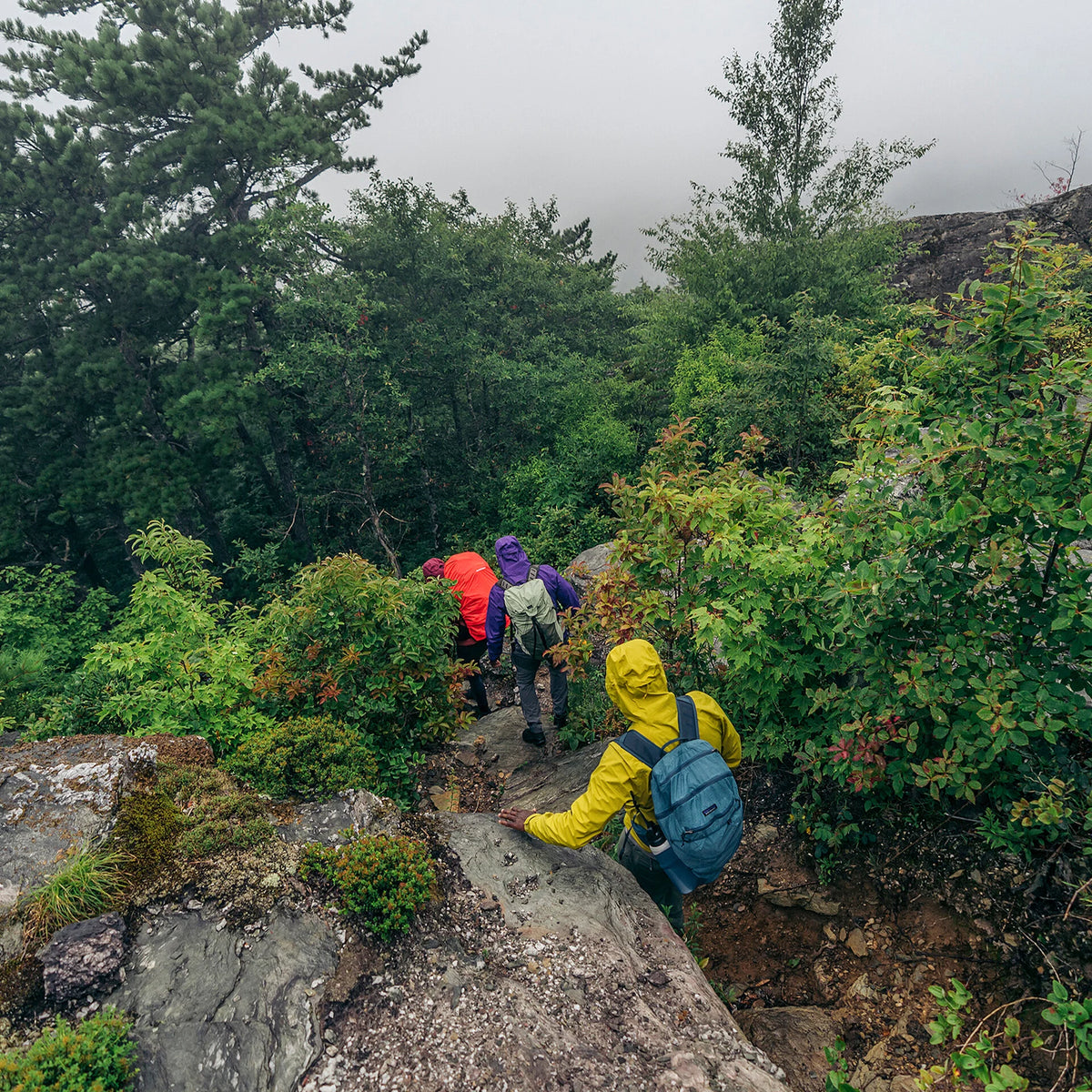 M's Torrentshell 3L Rain Jacket